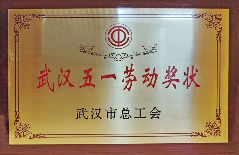 2025年6月，武汉市总工会公布2024年度劳动和技能竞赛获奖名单，中天六建荣获